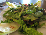 Dark greens, tomatoes, endive, and fresh asparagus Salad
